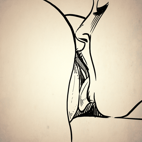 alina pegova commission azura dakimakura fire emblem fates lindaroze daf hkn #eatingpussy #lickingpussy #AnimatedGif #animated #oral #oralsex #oralsexpussy @sexmachine999 #lesbians #lesbiansex #lesbianGIF